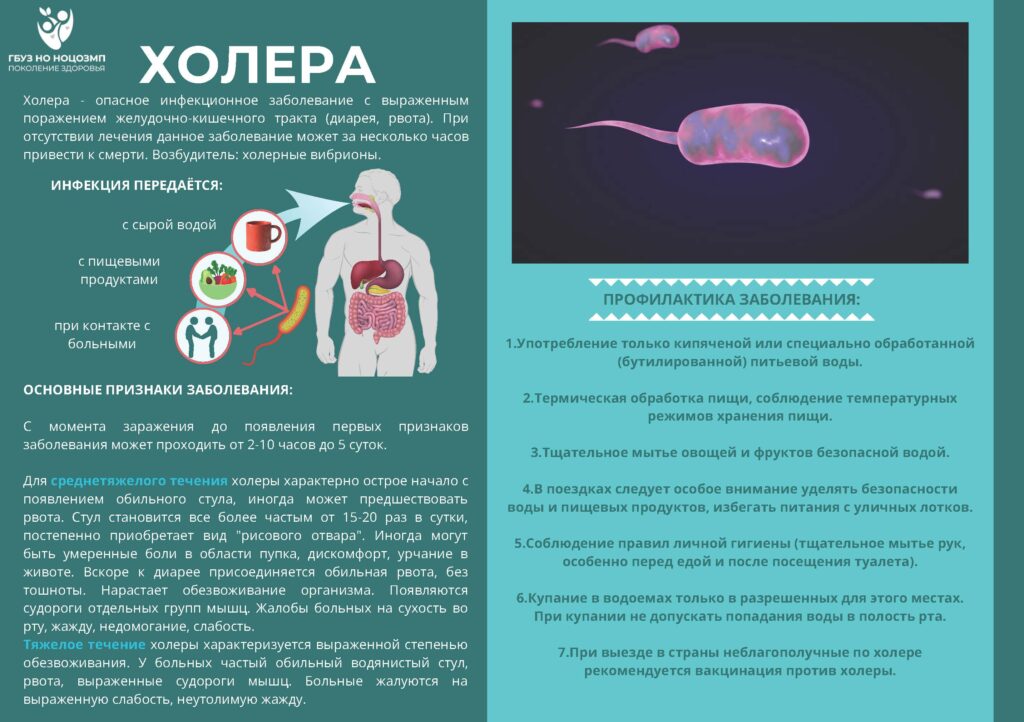 Профилактика инфекционных паразитарных болезней